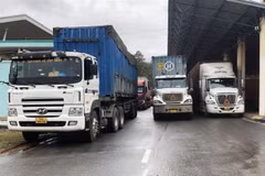 Quang Tri: l'import-export de marchandises via des postes frontaliers en forte hausse