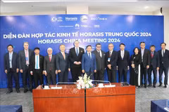 Le Forum Horasis Chine 2024 dynamise la coopération entre Binh Duong et les entreprise étrangères