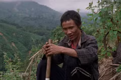Des films vietnamiens sont présentés au Festival international du film de Singapour