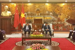 Hanoï booste sa coopération avec la province chinoise du Guangdong