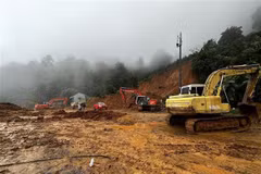 Le PM ordonne des mesures pour faire face aux catastrophes naturelles dans le Tay Nguyen