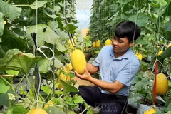 Ninh Thuan: Près de 730 milliards de dôngs pour la réduction durable de la pauvreté