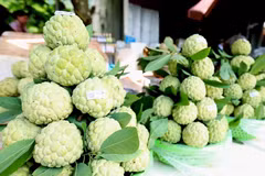 La pomme cannelle de Chi Lang, spécialité de Lang Son