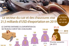 Le secteur du cuir et des chaussures vise 21,5 milliards d’USD d’exportation en 2019
