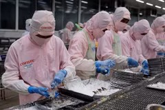 La valeur d'import-export du Vietnam atteint un record de 700 milliards de dollars