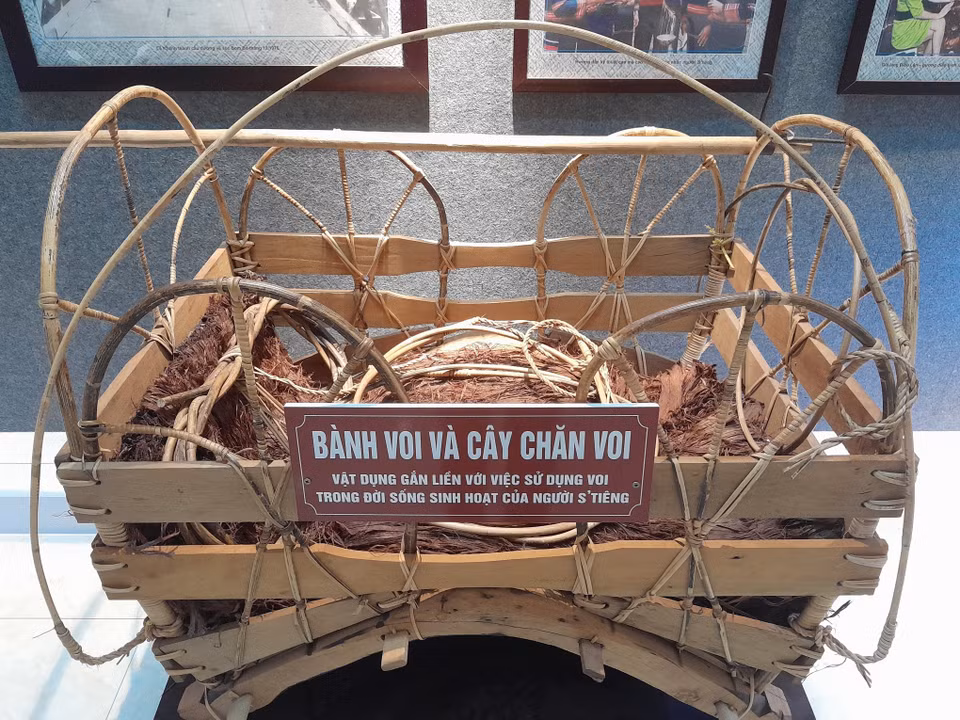 Objets liés à l’utilisation des éléphants par les S’tiêng. Photo : VNA