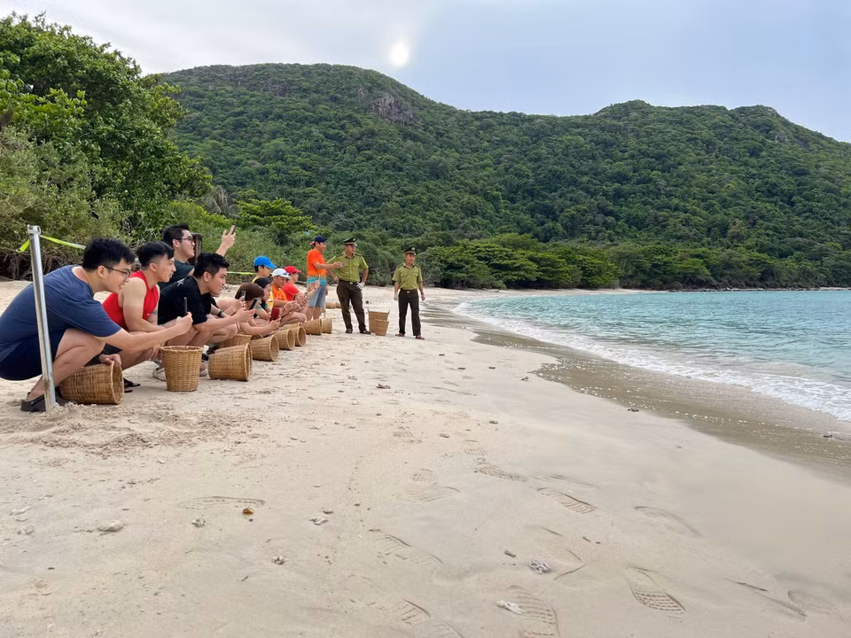 Des visiteurs vivent l'émouvant moment de relâcher de jeunes tortues dans leur habitat naturel, l'océan. Photo: VNA