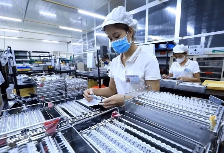 Le Japon est actuellement le premier partenaire économique et le premier fournisseur d’aide publique au développement du Vietnam. Les investissements japonais sont présents dans 57 des 63 villes et provinces vietnamiennes. Avec près de 5 000 projets en cours, cumulant près de 70 milliards de dollars, le Japon se positionne au troisième rang parmi les 141 pays et territoires investissant au Vietnam.Photo : VNA