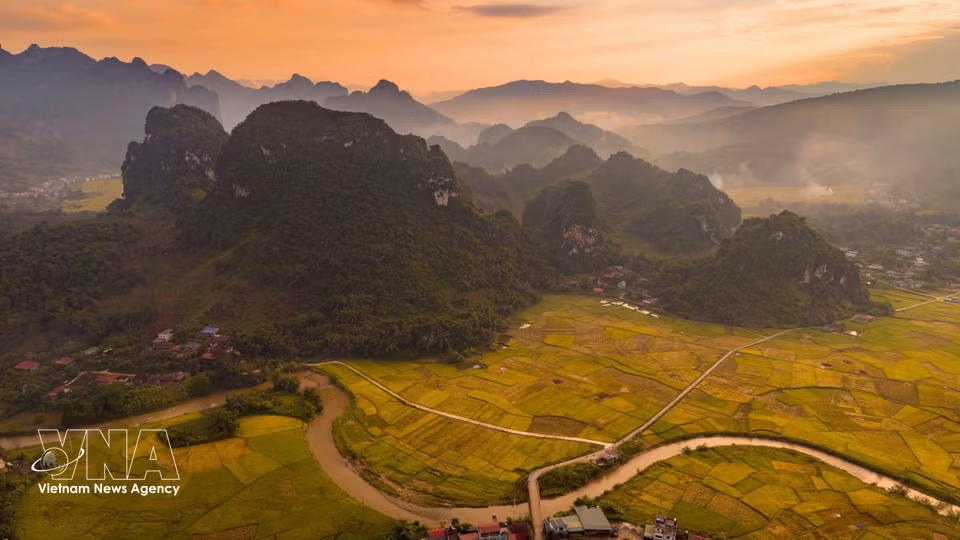 La teinte dorée du riz mûr s'étend largement sur les champs situés entre les montagnes, composant la beauté singulière de la vallée de Chieng Sinh. Photo: VNA