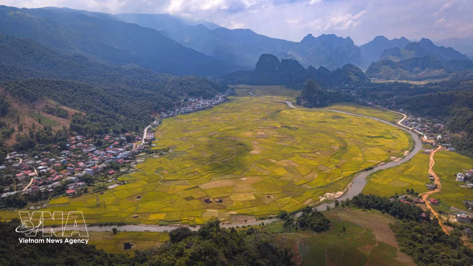 Vue panoramique sur les rizières en pleine maturation, nichées entre de majestueuses chaînes de montagnes et les villages de la commune de Chieng Sinh, dans la province de Dien Bien. Les parcelles aux teintes dorées composent un paysage harmonieux, caractéristique des vallées montagneuses du Nord-Ouest du Vietnam. Photo: VNA