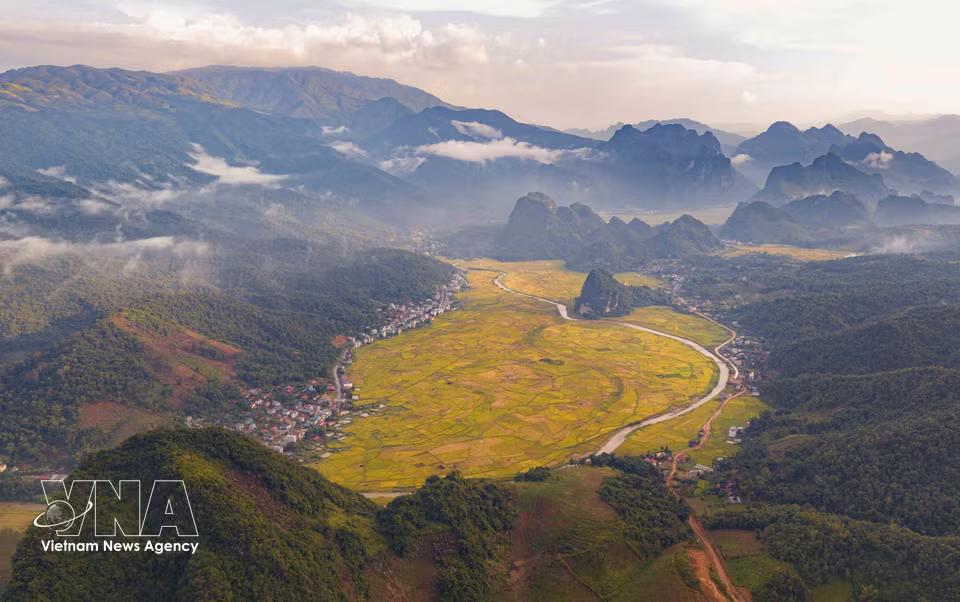 La teinte dorée du riz mûr s'étend sur les champs encadrés par les montagnes, révélant le charme caractéristique de la vallée de Chieng Sinh. Photo: VNA