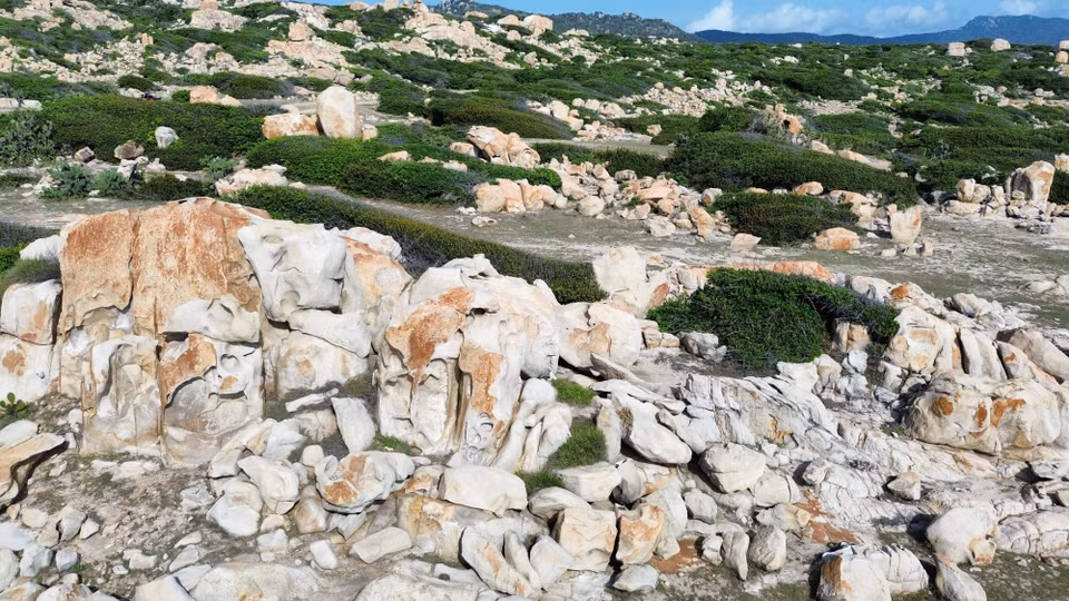 Le parc offre un exemple représentatif de l'écosystème de forêt sèche et de montagne rocheuse que l'on trouve sur la côte du parc national de Nui Chua. Photo: VNA