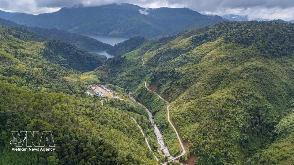 L’ouest de Da Nang dispose d’un vaste couvert forestier, mais les difficultés liées aux infrastructures routières continuent de freiner le transport et la commercialisation des produits agricoles. Photo : VNA