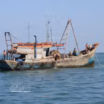 Le système VMS et les données de VNFishbase sont exploités et surveillés en permanence, 24 heures sur 24, afin de détecter et d'alerter rapidement les cas présentant des signes de violation des frontières maritimes. Photo : VNA