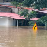 Dans la commune de Kim Tan, province de Thanh Hoa, le premier étage de maisons à deux ou trois niveaux est déjà submergé à plus de la moitié. Photo: VNA