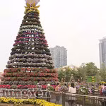 Le "Festival des fleurs de la province de Hung Yen" se tiendra du 25 au 31 décembre dans la commune de Phung Cong. Photo: journal de Hung Yen
