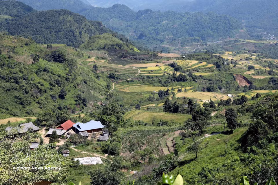Depuis Lao Chai, le regard porte sur de vastes rizières en terrasses qui s’étendent à perte de vue. Photo : VNA