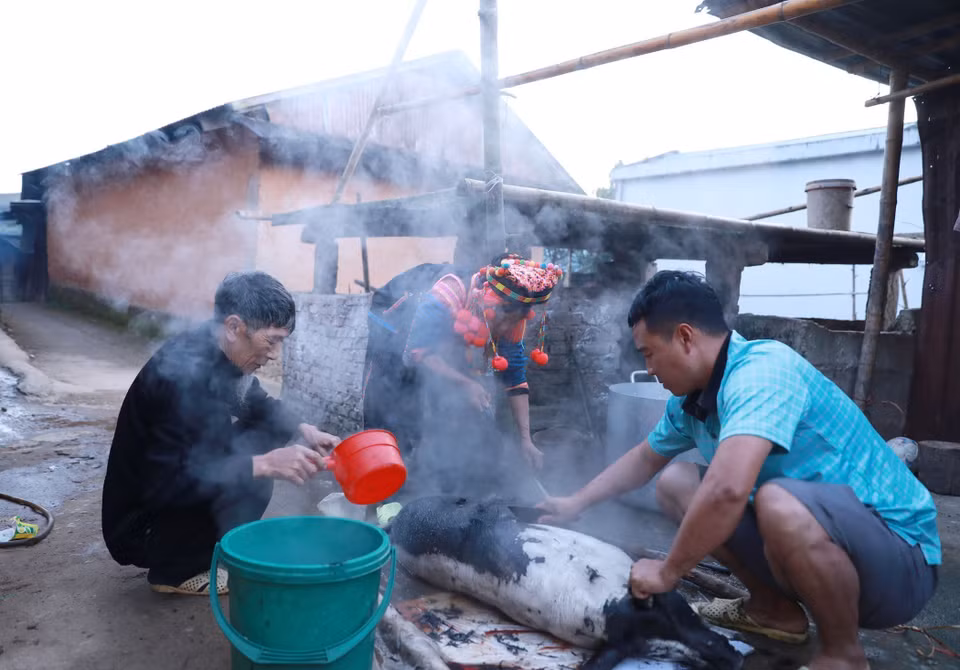 Le porc est un élément indispensable du Têt traditionnel Hà Nhi; chaque famille doit abattre un. Le foie est examiné pour prédire la santé et la prospérité familiale. Photo : VNA