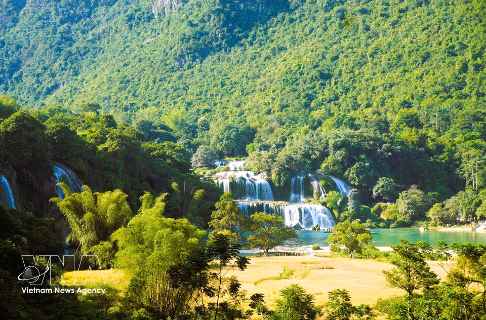 La chute principale de la cascade mesure environ 50 mètres de large pour 35 mètres de haut. Photo : VNA