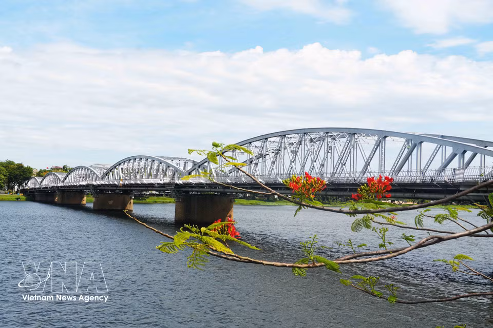 Fort de son histoire mouvementée, le pont Truong Tien est devenu une source de fierté pour les habitants de Huê et, plus largement, pour les Vietnamiens. Emblème de l’ancienne cité impériale, il se distingue par son élégante silhouette enjambant la rivière des Parfums. Photo : VNA