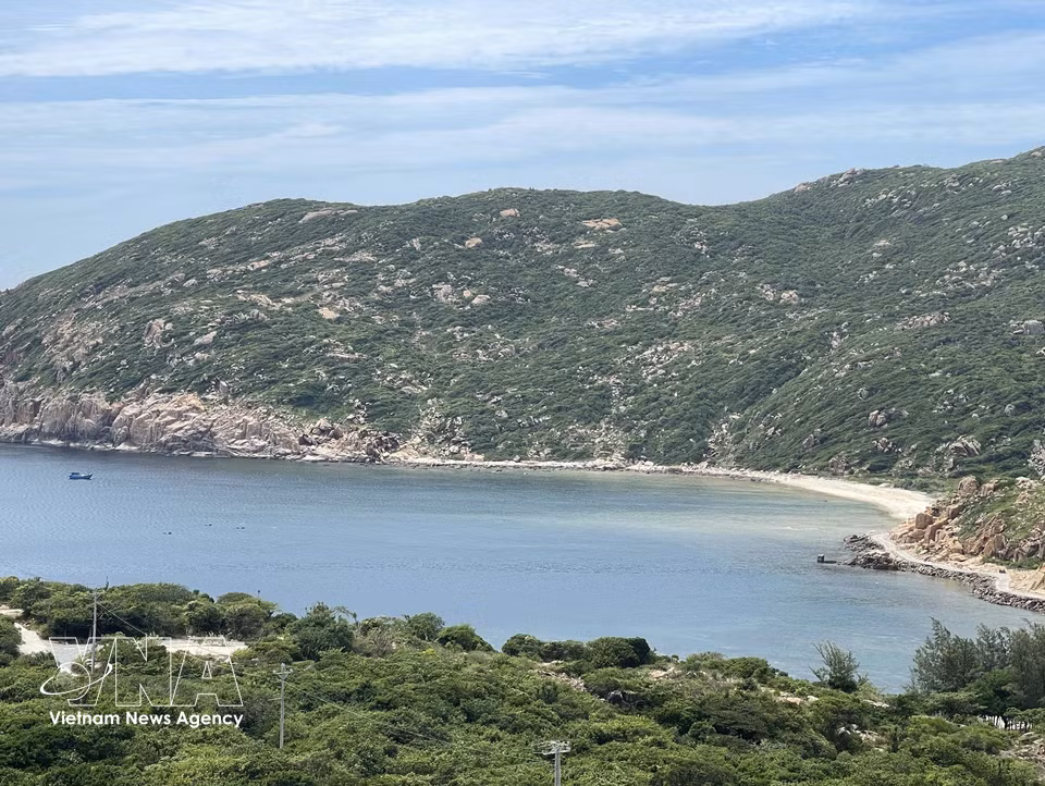 Le tracé sinueux de la route DT.702 épouse harmonieusement les reliefs du massif de Nui Chua et le littoral, créant un panorama grandiose. Photo : VNA