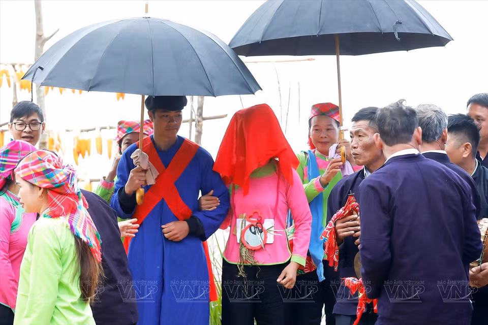 Le marié ramène chez lui la mariée dans la joie. Sur le chemin du retour, la mariée est recouverte d'un foulard rouge selon les coutumes traditionnelles de l'ethnie Giay. Photo : VNP