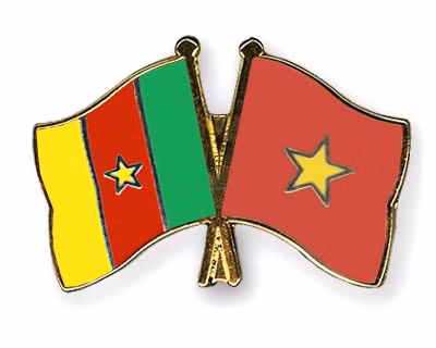 Message de félicitations à l'occasion des 50 ans des relations Vietnam-Cameroun