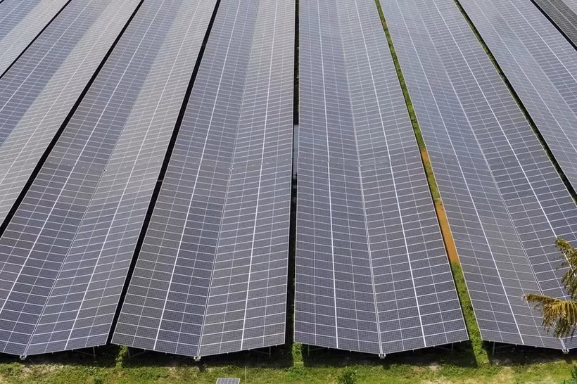 Le nouveau parc solaire flottant de Singapour devrait être capable de produire 141 mégawatts-crête (MWc) d'énergie propre (Photo : businesstimes.com.sg)