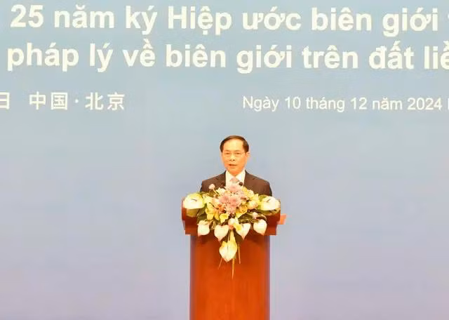 Le vice-Premier ministre et ministre des Affaires étrangères, Bui Thanh Son, lors de la cérémonie. Photo: baochinhphu.vn