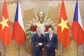 Le président de l'Assemblée nationale Trân Thanh Mân (à droite) et le président du Sénat du Parlement tchèque Milos Vystrcil. Photo: VNA