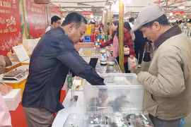 Des visiteurs à la Foire. Photo: VNA