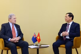 Le vice-Premier ministre et ministre des Affaires étrangères, Bui Thanh Son, reçoit le ministre néo-zélandais des Affaires étrangères, Winston Peters, en marge de la troisième Conférence des Nations Unies sur l’Océan (UNOC3) à Nice, en France. Photo: VGP