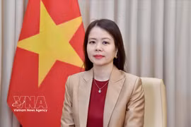 La vice-ministre vietnamienne des Affaires étrangères, Nguyen Minh Hang. Photo: VNA