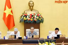 Le président de l’Assemblée nationale Tran Thanh Man (milieu) s'exprime lors de la séance. Photo: VNA