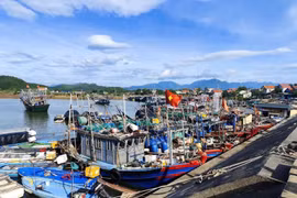 Les bateaux de pêche de la province de Quang Ninh. Photo: VNA