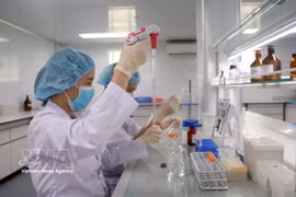 Des chercheurs de l’Institut des vaccins et des produits biologiques médicaux, relevant du ministère de la Santé, mènent des recherches et procèdent au contrôle des vaccins. Photo: VNA