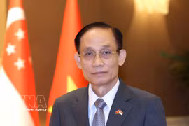 Le membre du Bureau politique et ministre vietnamien des Affaires étrangères, Lê Hoai Trung. Photo: VNA