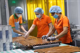 ​La production industrielle vietnamienne a poursuivi sa progression au cours des huit premiers mois de 2026, portée notamment par la bonne performance de l’industrie manufacturière et de transformation, qui reste le principal moteur de la croissance du secteur. Photo: VNA