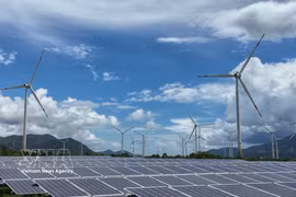 Khanh Hoa dispose de nombreux atouts pour mettre en œuvre des projets dans les énergies renouvelables et les nouveaux secteurs de l’énergie. Photo: VNA