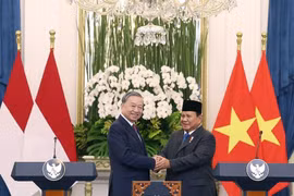 Le secrétaire général du Parti Tô Lâm et le président indonésien Prabowo Subianto. Photo: VNA