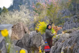 Hà Giang, la destination de voyage qui monte selon Agoda