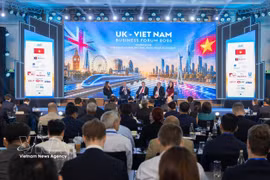 Le Forum des entreprises Royaume-Uni–Vietnam à Hô Chi Minh-Ville. Photo: VNA