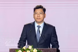 Le vice-président du Comité populaire municipal, Hoang Nguyên Dinh. Photo: VNA