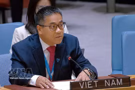 Nguyên Hai Luu, ministre-conseiller et chef adjoint de la Mission permanente du Vietnam auprès de l’ONU. Photo: VNA