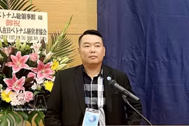 Nguyên Vu Minh Hoang, secrétaire général de l’Association de liaison avec les Vietnamiens d’outre-mer de Hô Chi Minh-Ville. Photo: VNA