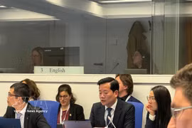 Nguyên Hoang Linh, directeur de l’Autorité de radioprotection et de sûreté nucléaire relevant du ministère des Sciences et des Technologies. Photo: VNA