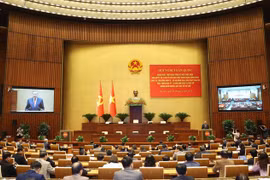 Conférence nationale pour faire le bilan de la mise en œuvre de la Résolution n°18-NQ/TW du 12e Comité central du Parti. Photo: VNA