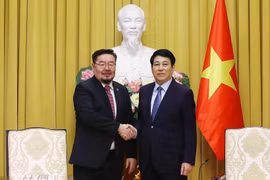 Le président de la République Luong Cuong (droite) et le chef du bureau présidentiel de la Mongolie, Gombojav Zandanshatar. Photo: VNA