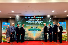 Le Vietnam Agriculture Reputation Index (VARI) vise à établir un référentiel transparent et scientifique de confiance pour les entreprises et entrepreneurs agricoles, facilitant l’accès au crédit, aux investisseurs et aux financements verts. Photo: VNA