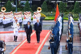 Les deux présidents vietnamien et lituanien, Luong Cuong et Gitanas Nauseda. Photo: VNA